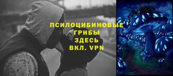 трава Елизово