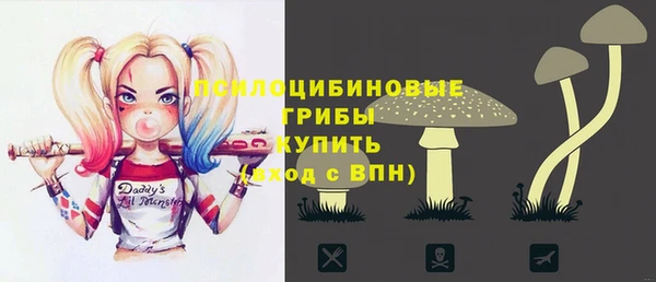Альфа ПВП Елабуга