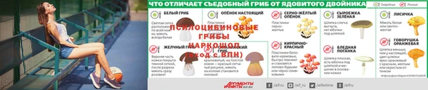 трава Елизово