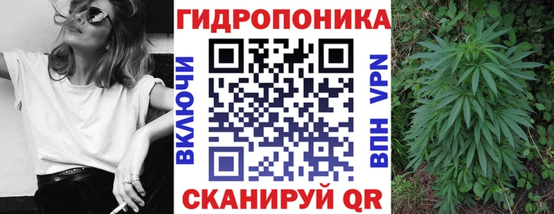 Бошки Шишки VHQ  Купить закладки  Боровичи 